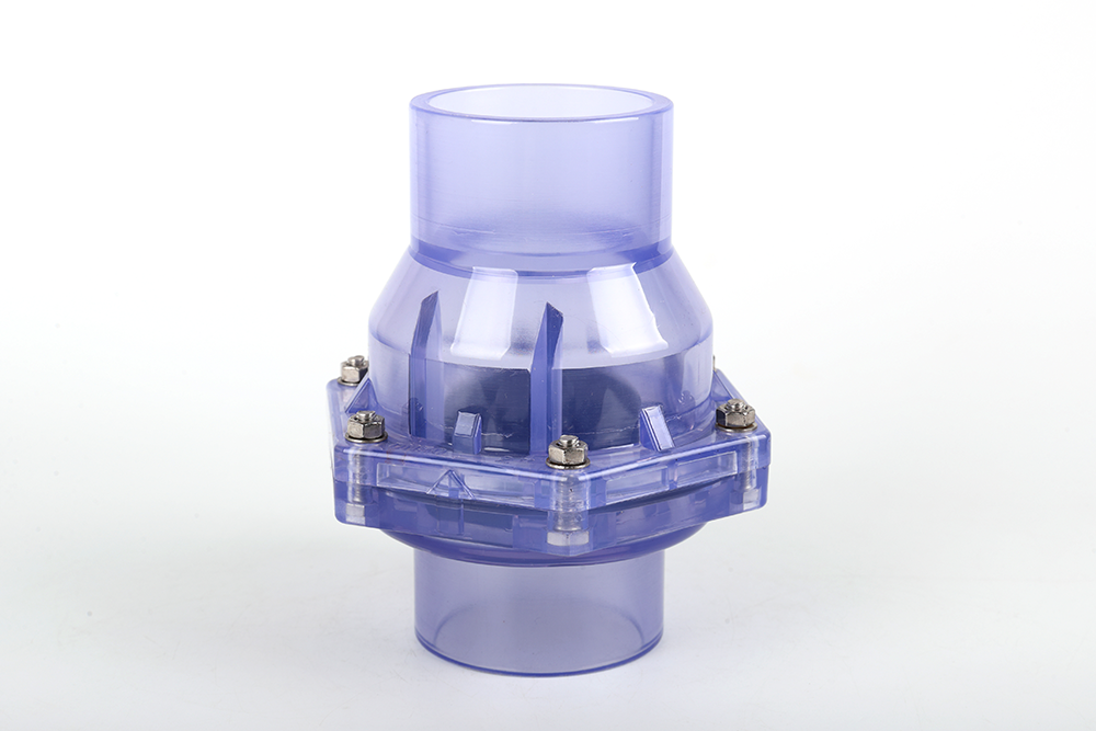 木鱼镇透明翻板式止回阀